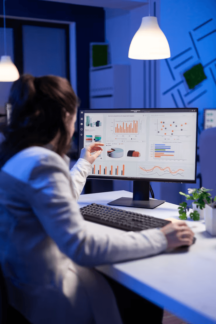 Data Visualization Services